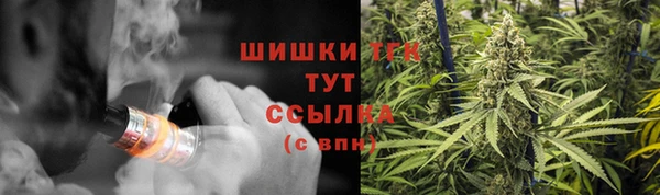 a pvp Ельня