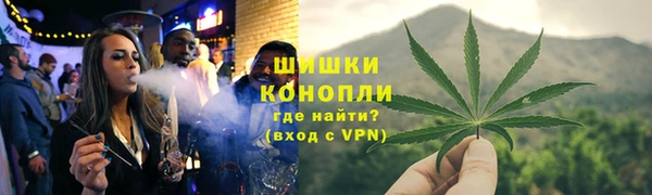 a pvp Ельня