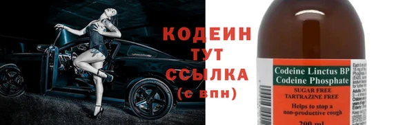 a pvp Ельня
