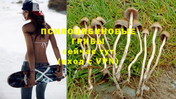 героин Елабуга