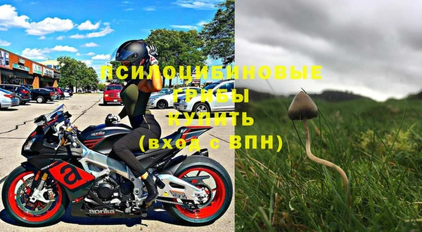 a pvp Ельня