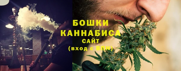 a pvp Ельня
