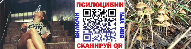Купить где  Ефремов  Галлюциногенные грибы Magic Shrooms 